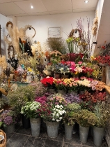 Luxury Florist Choice