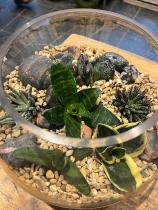 Glass terrarium