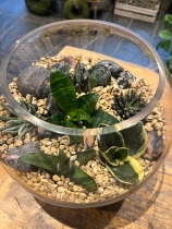 Glass terrarium