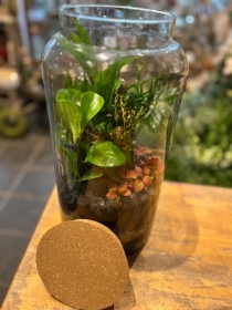 Large terrarium